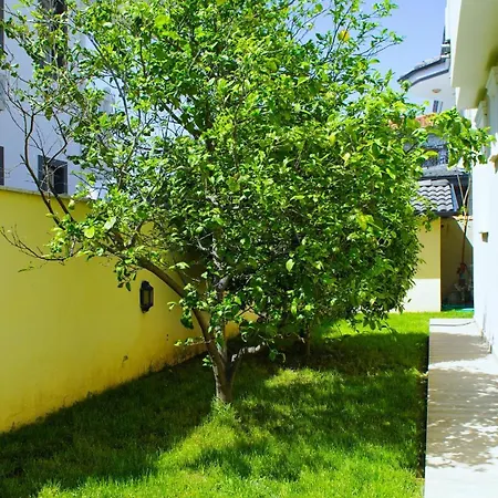 Villa With Private Pool For 10 People In Dalyan Ortaca (Mugla)