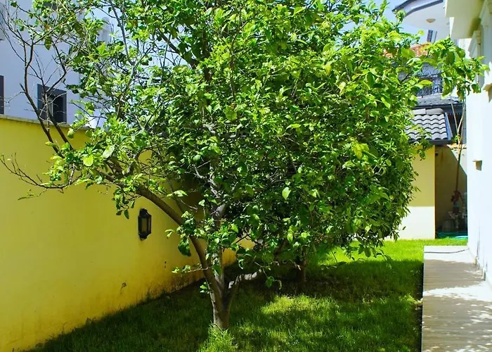 Villa With Private Pool For 10 People In Dalyan Ortaca (Mugla)